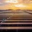 This photograph is of the sunrise over a solar panel farm. The panels reflect the new daylight